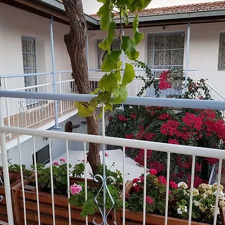 Nyaraló Thekla's View House Kato Lefkara